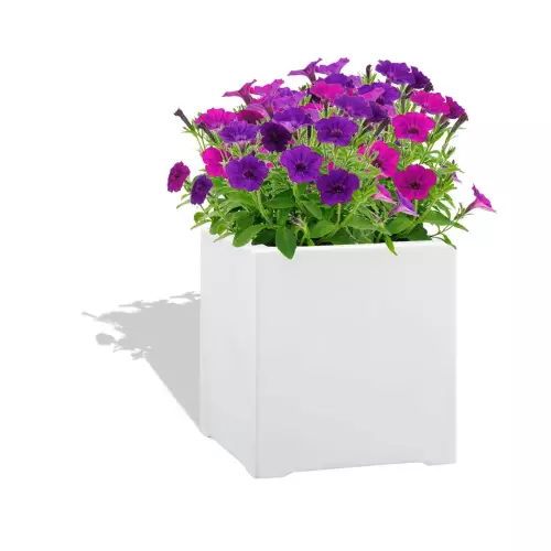 Biała donica D992A z Petuniami